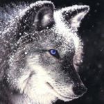 Victor-wolf.jpg