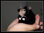 MouseSherman.jpg